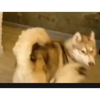 👍