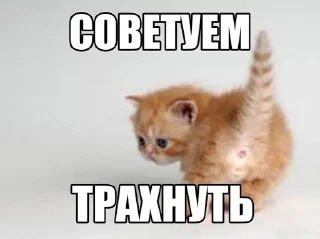 😕