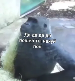 😠