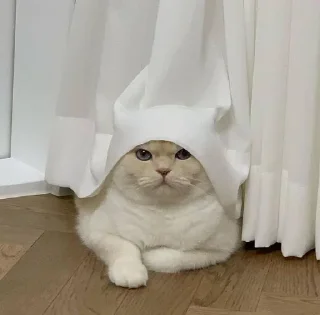 👿