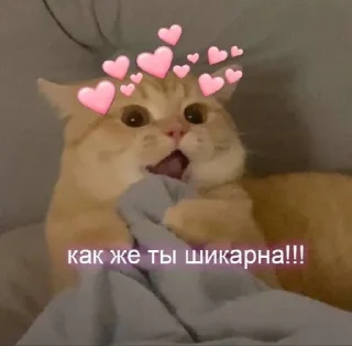 😲