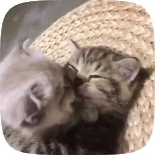 😘