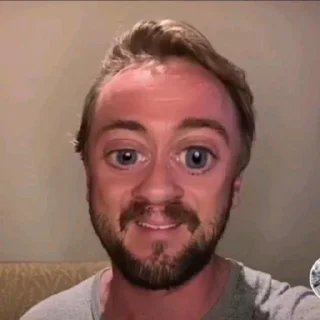 🐍