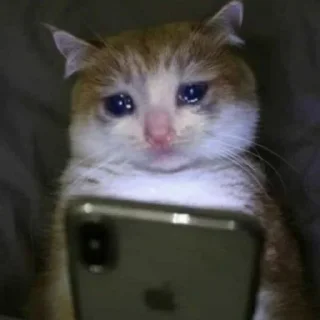 🥺