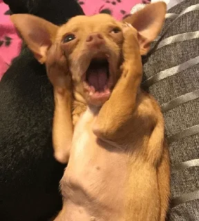 😦