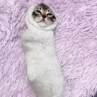 😮‍💨