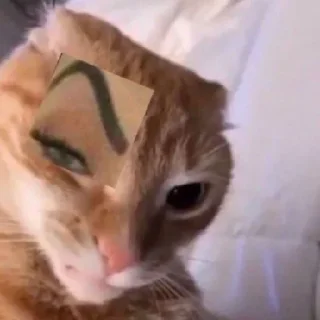 🥴