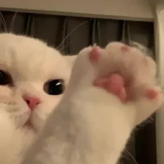 💒