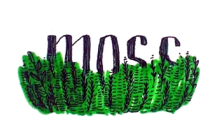 💚