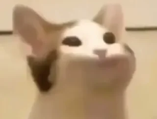 😐