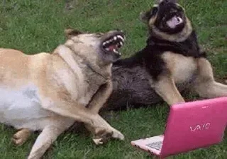 🤣