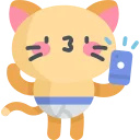🙀