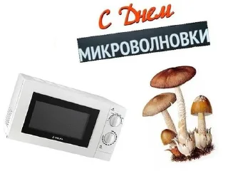 С днем 2 ...