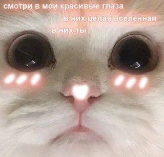 🥺