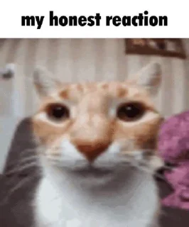 😐