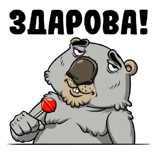 Вомбат | vombat.su