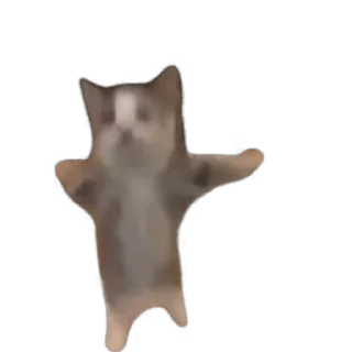 🤩