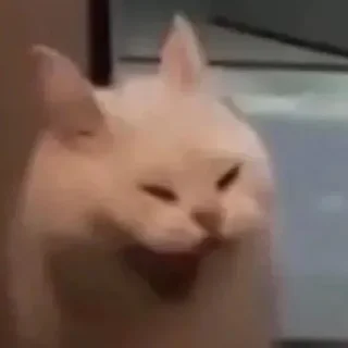 😃