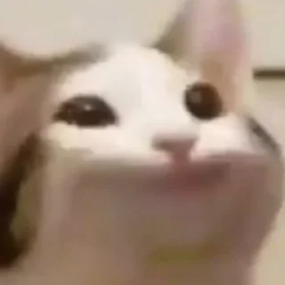 😊