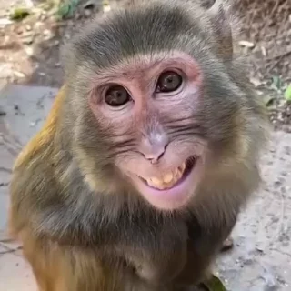 😃