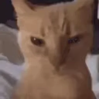 👎