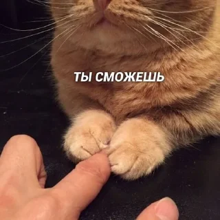 😊