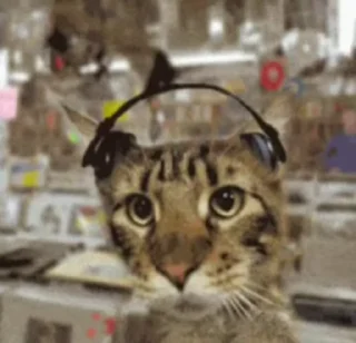 🎧