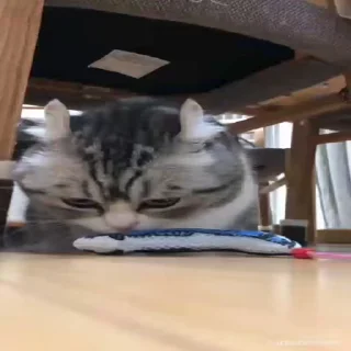 🤯