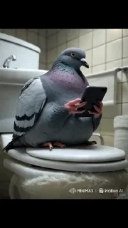 🤩