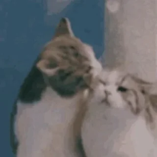 😘