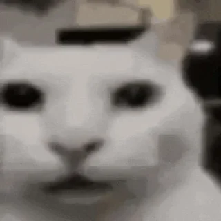😶