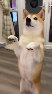 🙂