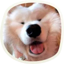 😝