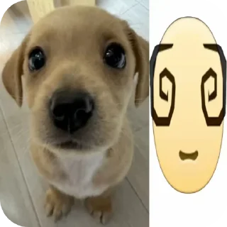 😲