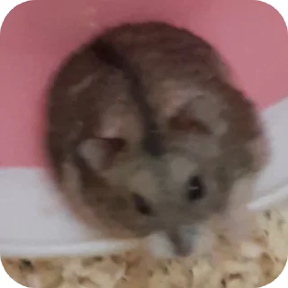 👍