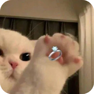 💍