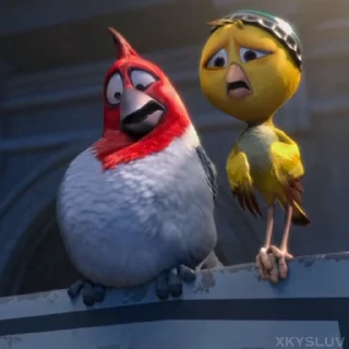 🦜