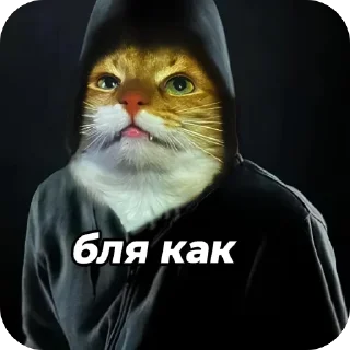 🫥