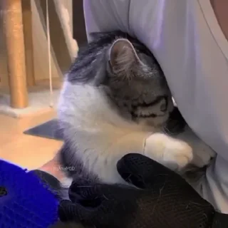🥰