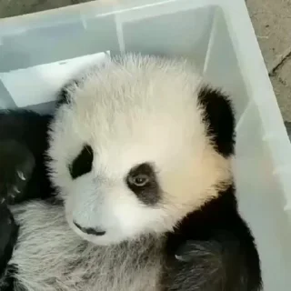 😐