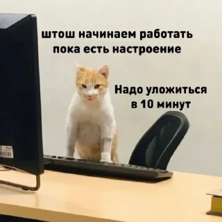 👨‍💻