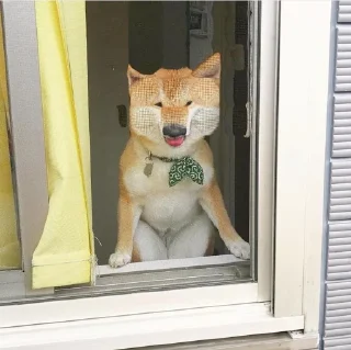 😛