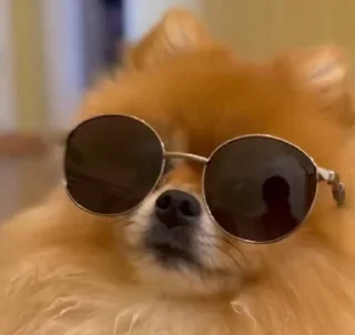 😎