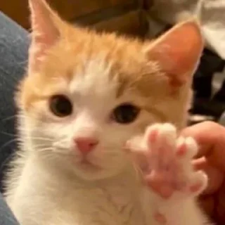 👋