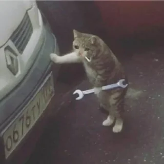 😭