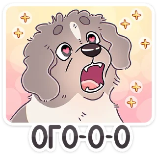 🐶