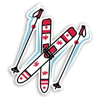 🎿