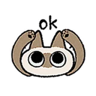 😺