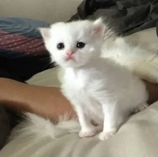 ➖