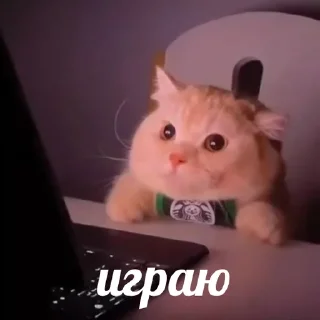 🎮